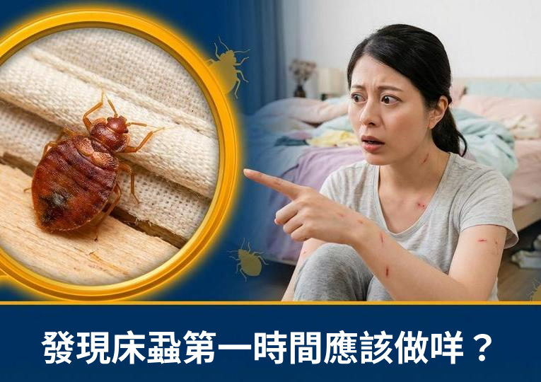 床蝨處理全攻略：由發現、滅蝨到防治重點
